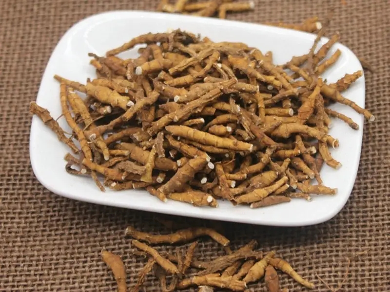 萱草根.jpg
