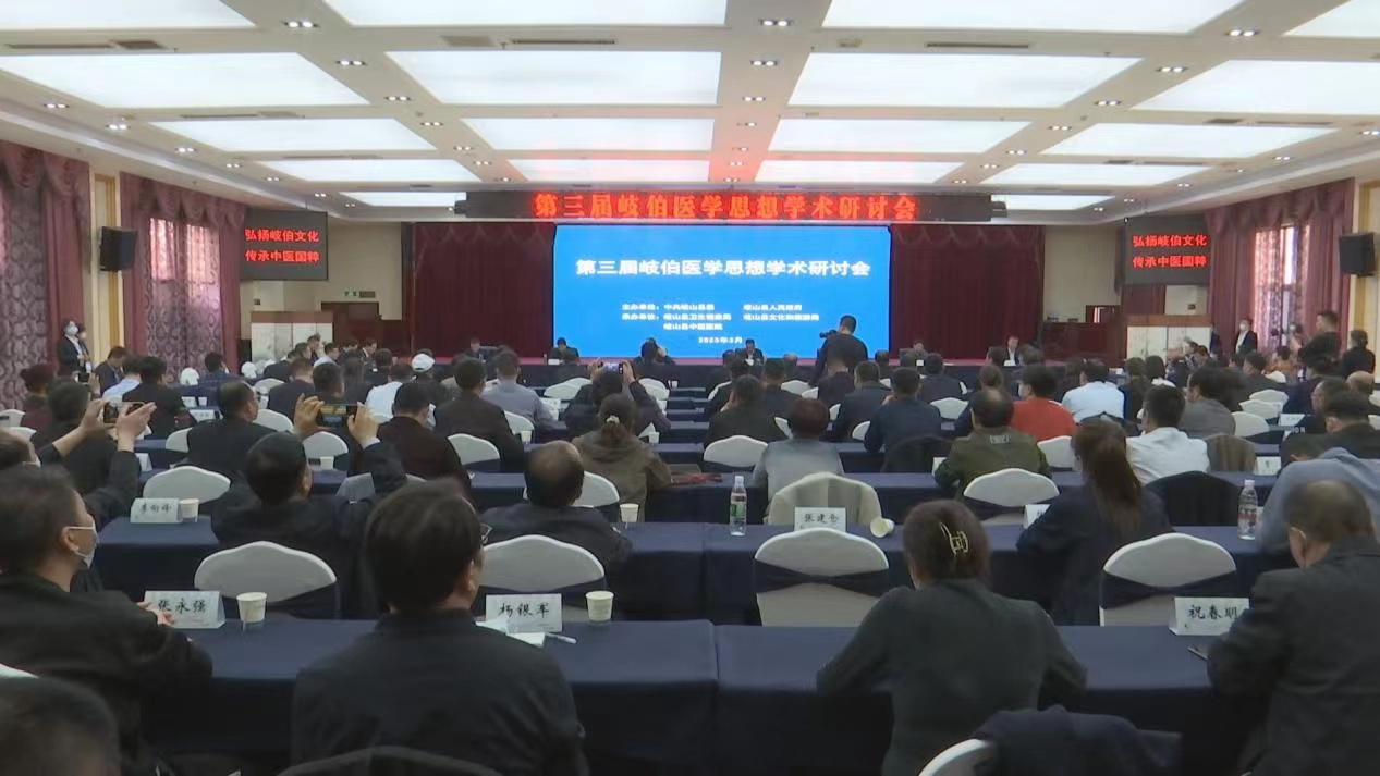 岐伯研讨会1.jpg